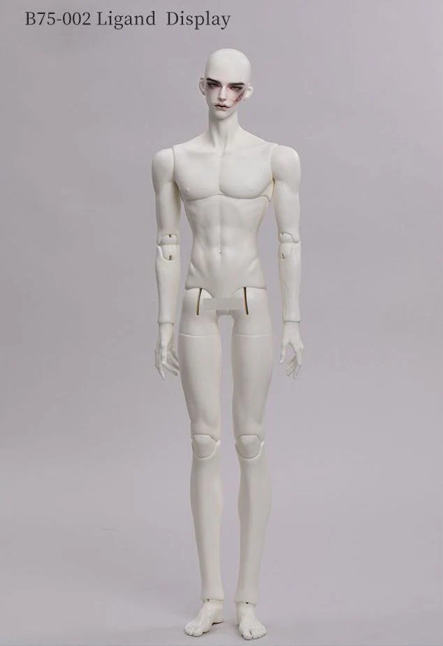 Product image 24